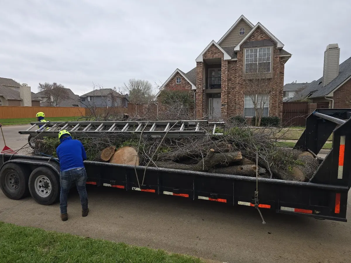 Expert Lot Clearing with proper safety equipment in Tarpley